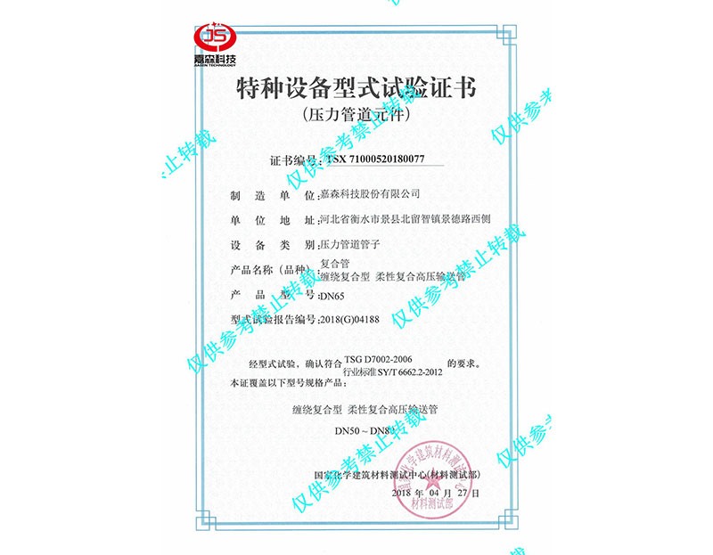 DN65特种设备型式试验证书